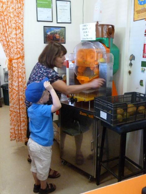Maria greets visitors with a cool cup of freshly squeezed orange juice
