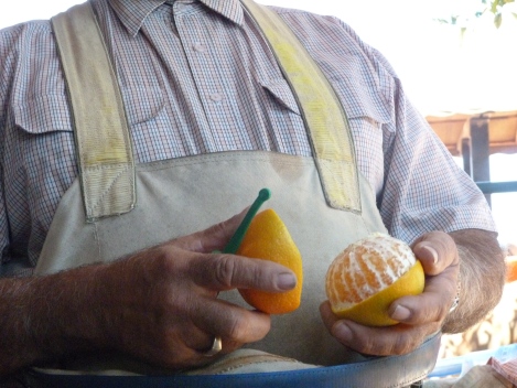 Demonstrating the Murray orange peeler